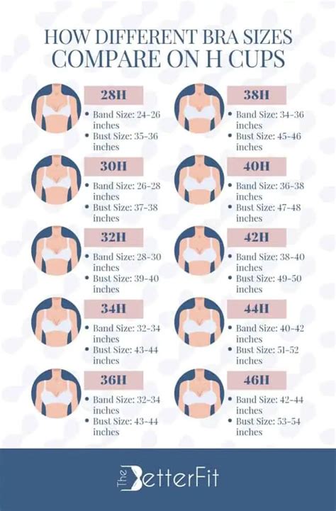 breast cup sizes pictures